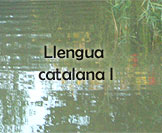 Llengua Catalana I